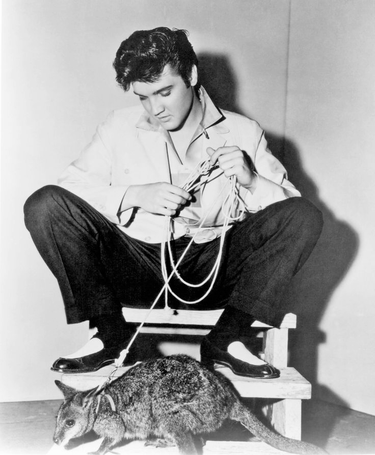 Экзотика: самые странные домашние питомцы, которые жили у знаменитостей