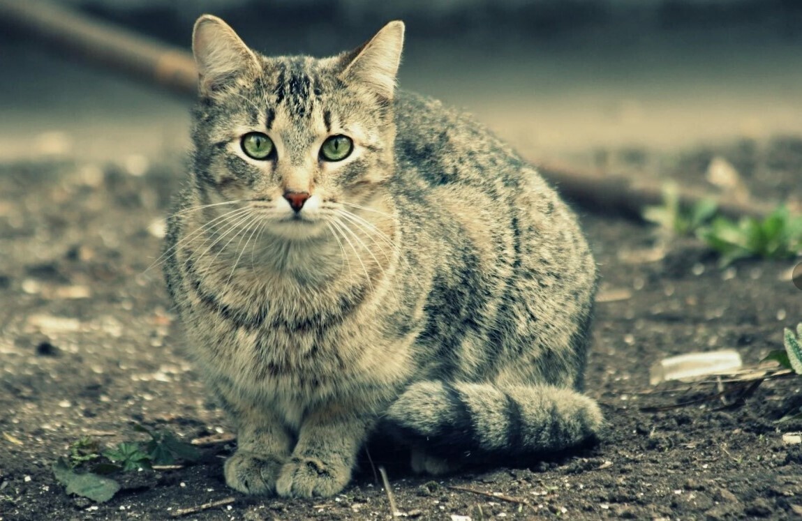 В Ростове-на-Дону после обрушения жилого дома происходит страшное