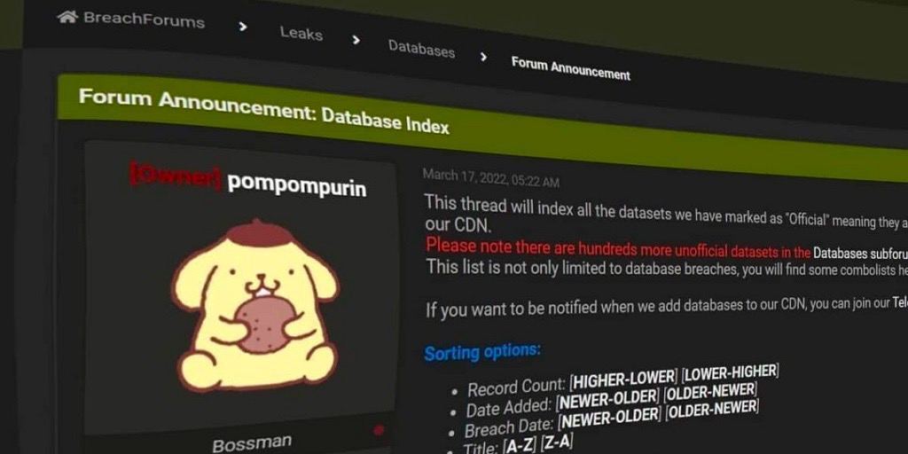 Необычный приговор Pompompurin: 20 лет под надзором, но без тюремных решеток