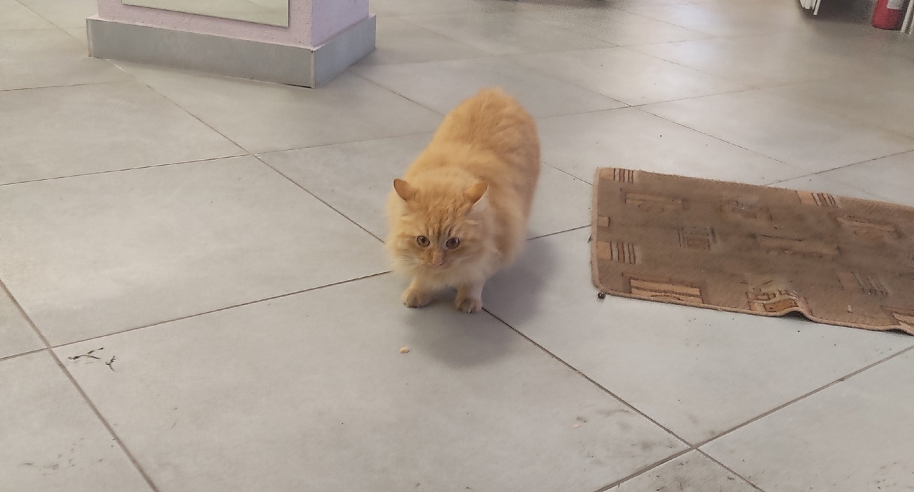 со школы все видят. спит на уроке. училка на уроке. выпускники прикол. со школы все видят.