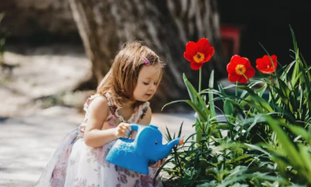 10 советов по оформлению детской клумбы