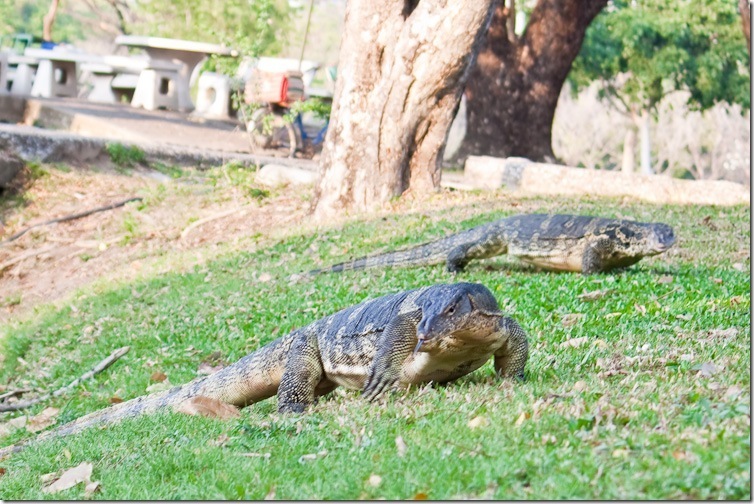Из островной жизни в крупнейший мегаполис мира - Бангкок (Тайланд). Посещение парка Люмпини в центре города. Зеленый оазис. Из зимы в лето.