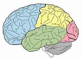 Улучшаем свою память