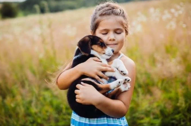 История любви и преданности