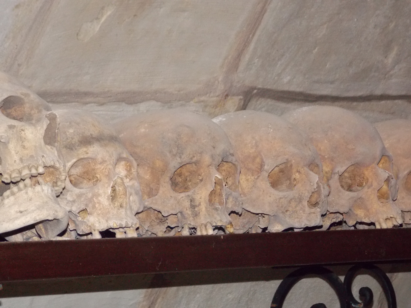 Старица. Наша поездка в старинный Свято-Успенский монастырь на берегу Волги