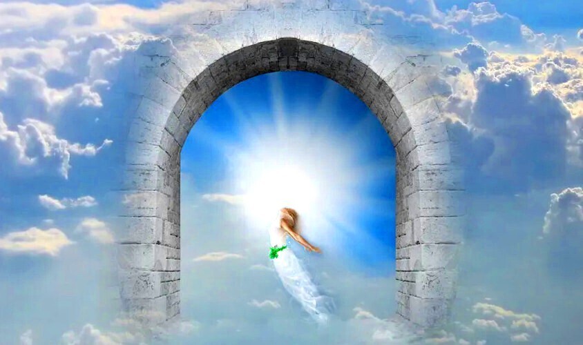 Звонкий переход в жизнь, после жизни