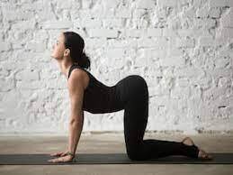 31 поза йоги для начинающих