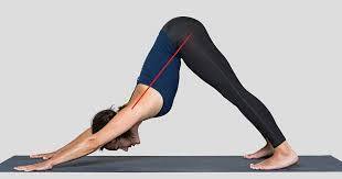 31 поза йоги для начинающих