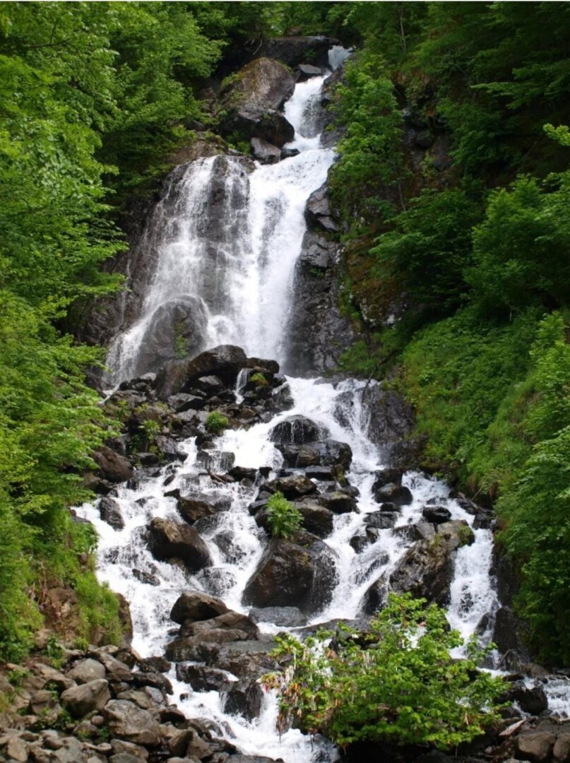 Хороший отдых Прекрасная АБХАЗИЯ.