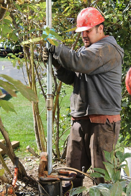 11 лучших профессий эколога