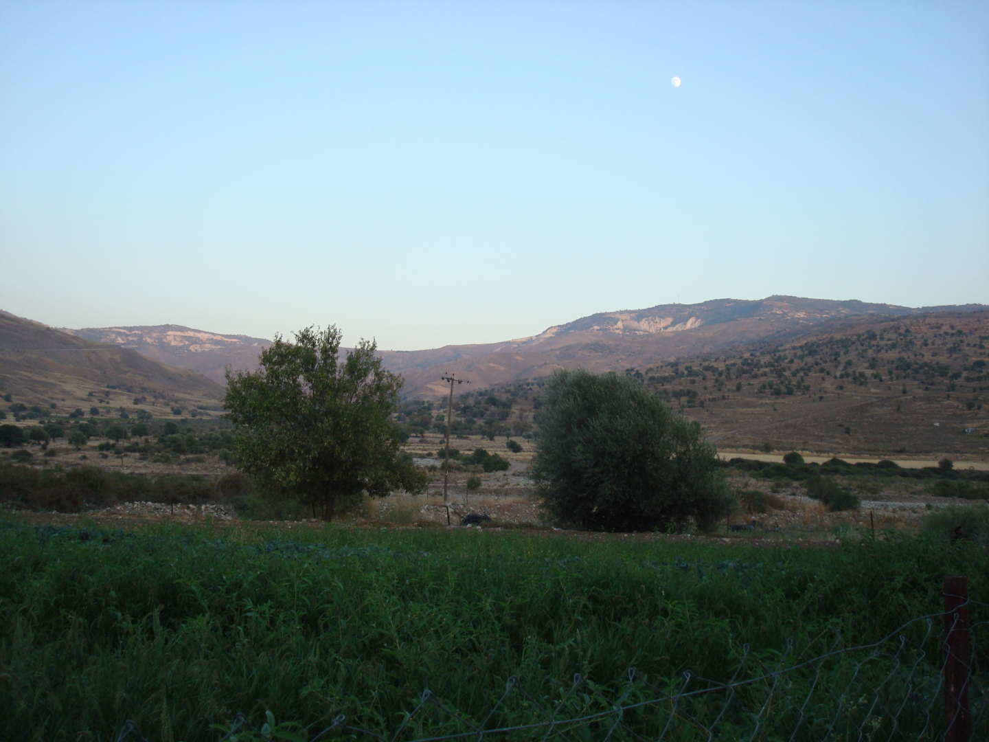 Пафос. Кипр. Мое путешествие на Кипр и почему я туда больше не хочу. Много фото