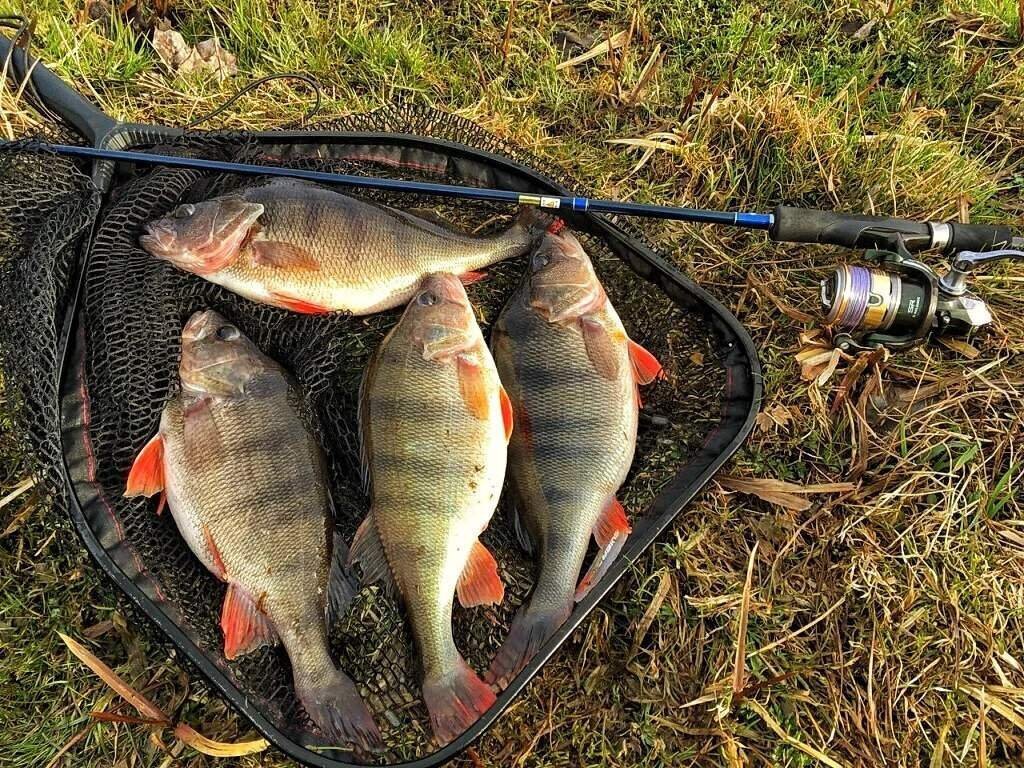 Думаете,куда ехать в отпуск?