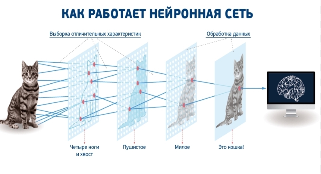 Зарабатывать на нейросетях: миф или реальность?