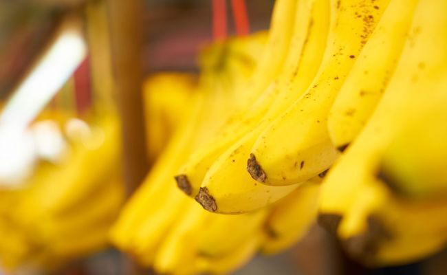 "Эквадор и Украина: последствия поставки вооружений"