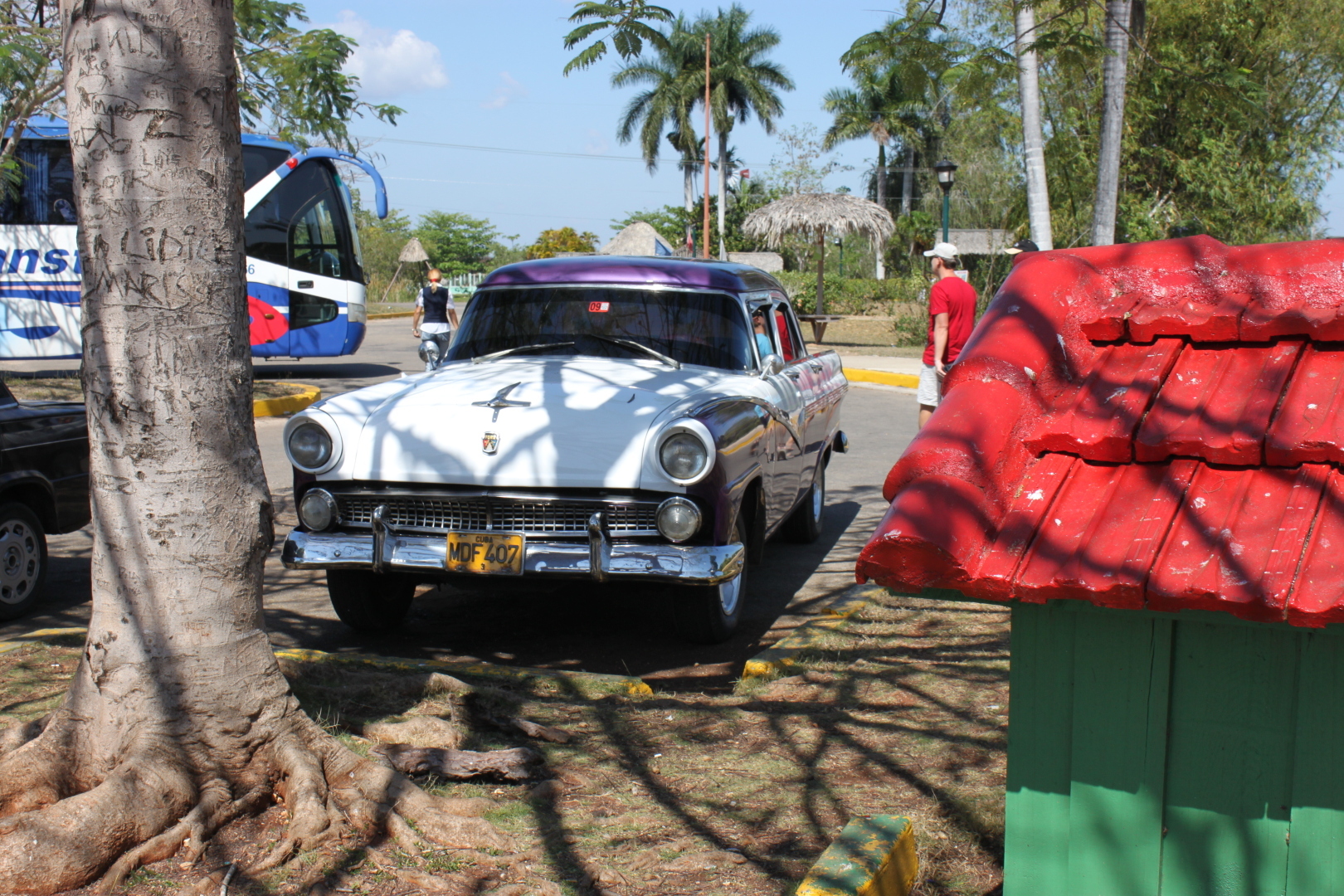 Залив Свиней, Крокодиловая ферма, остров Игуан мое путешествие по нетуристической Кубе. Фото