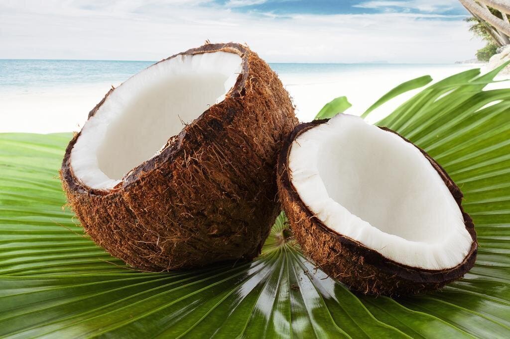 35 интересных и странных фактов о животных, которые мало кто знает