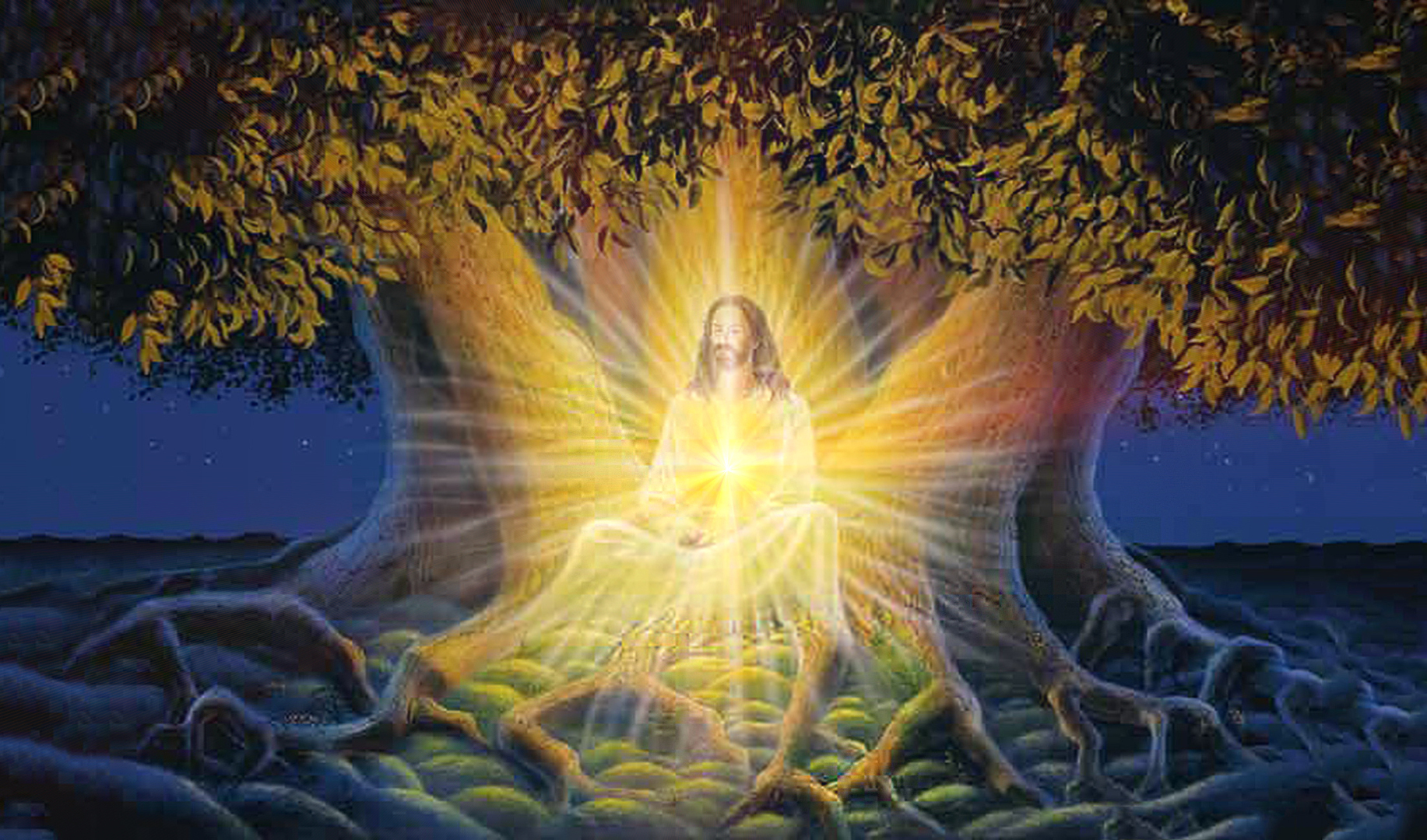Бог света и жизни. Медитация сила рода. Магия природы. О природе богов. Божественная природа человека.