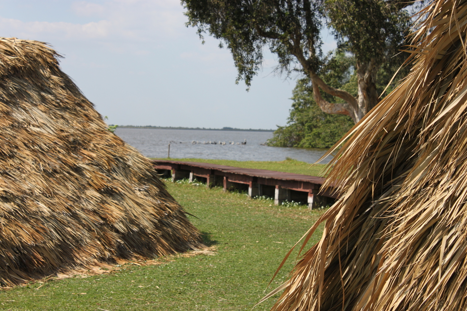 Залив Свиней, Крокодиловая ферма, остров Игуан мое путешествие по нетуристической Кубе. Фото