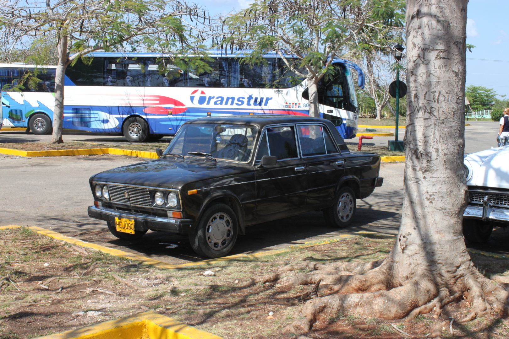 Залив Свиней, Крокодиловая ферма, остров Игуан мое путешествие по нетуристической Кубе. Фото