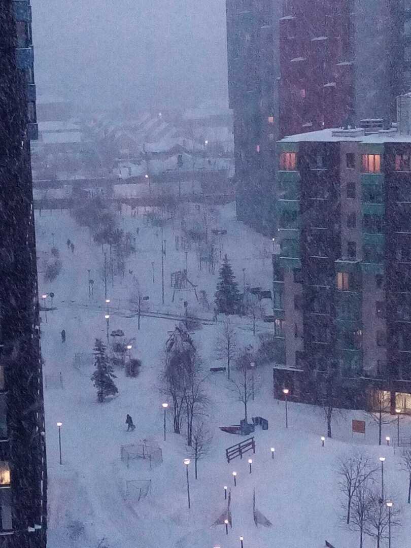 Зима, февраль, снегопад... Моя прогулка по заснеженному парку