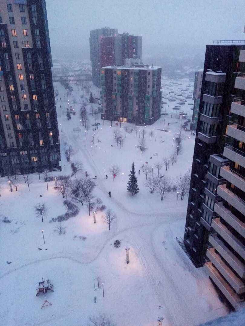 Зима, февраль, снегопад... Моя прогулка по заснеженному парку