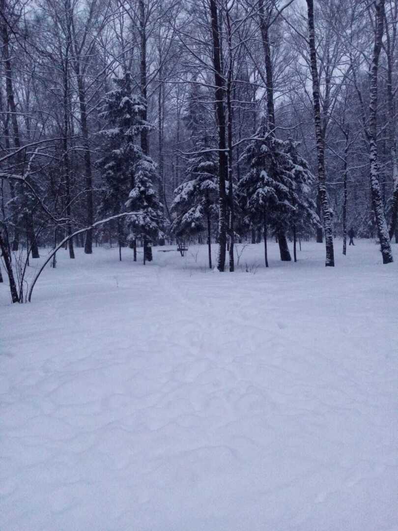 Зима, февраль, снегопад... Моя прогулка по заснеженному парку