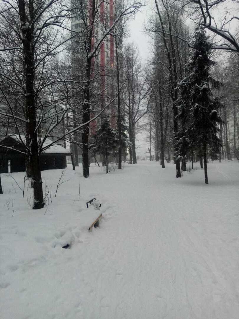 Зима, февраль, снегопад... Моя прогулка по заснеженному парку