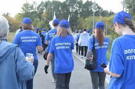 "Исчезновение людей: проблема, требующая немедленного вмешательства"