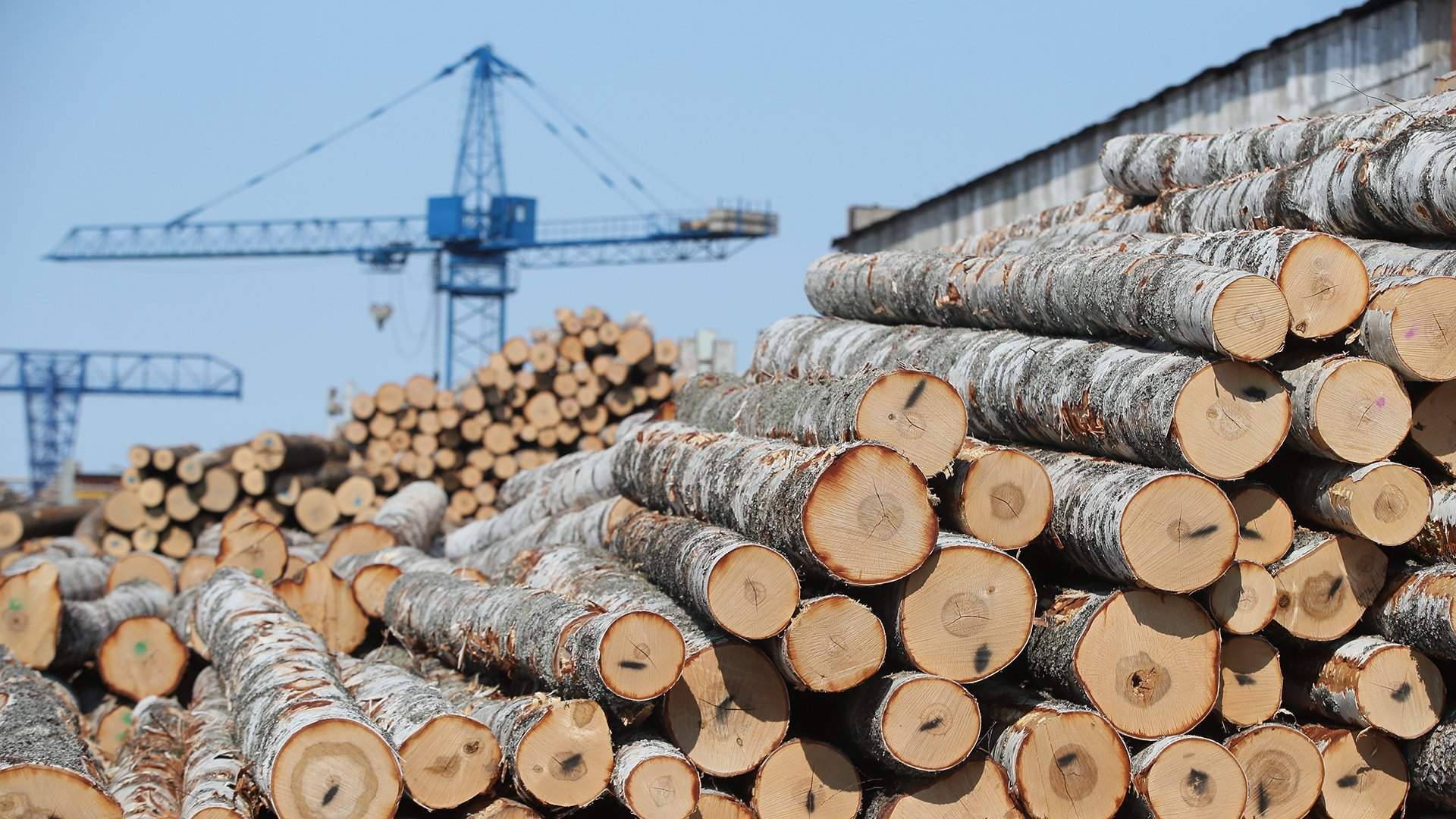 Стройматериалы для каждого от государства почти даром.