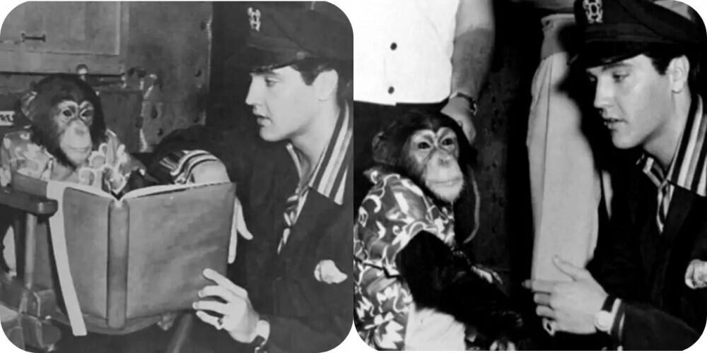 Элвис Прэсли. Странности короля рок-н-ролла. Часть 2