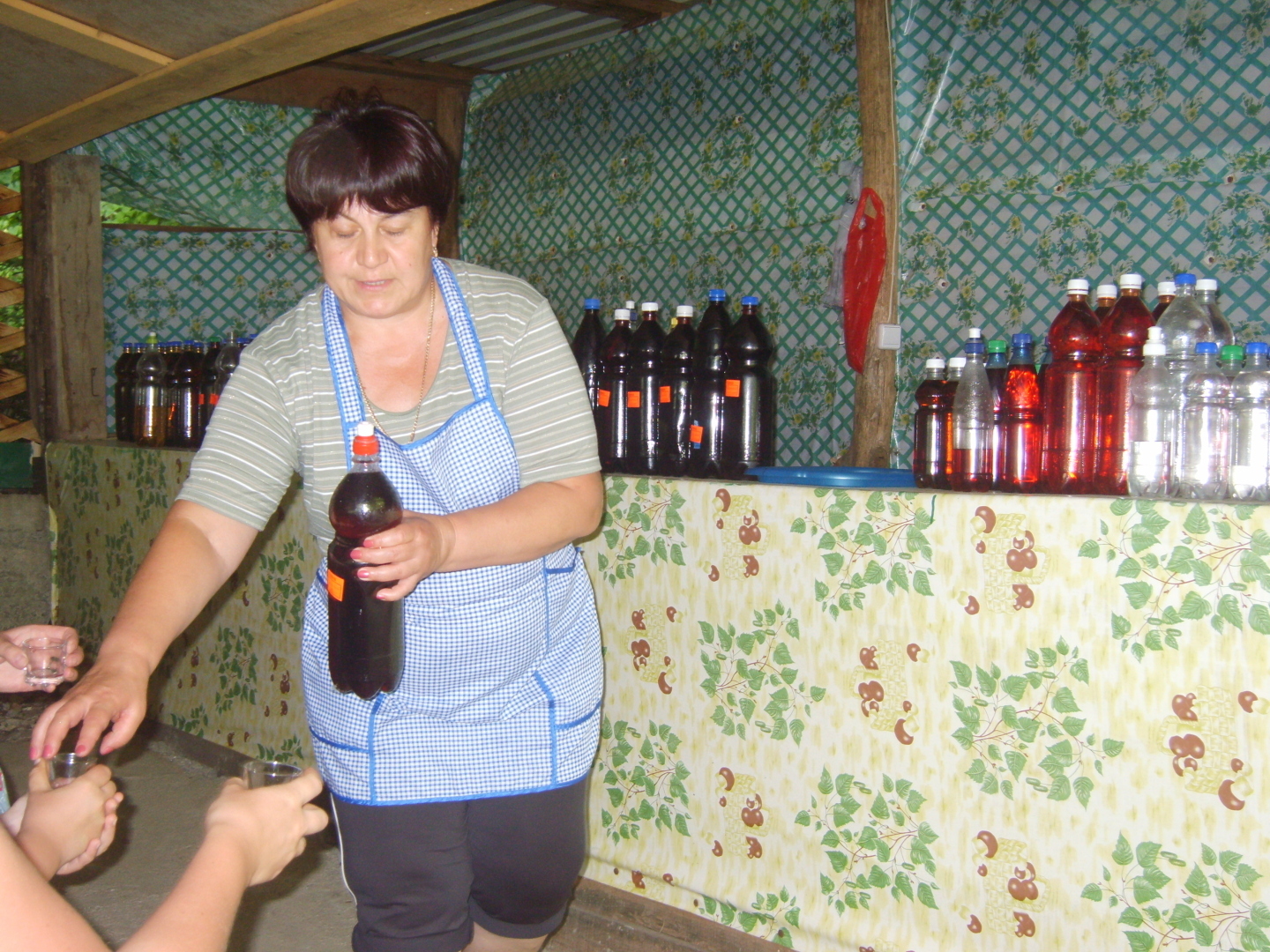 Наша незабываемая, интереснейшая экскурсия «33 водопада». Лето, июнь, 2010 год