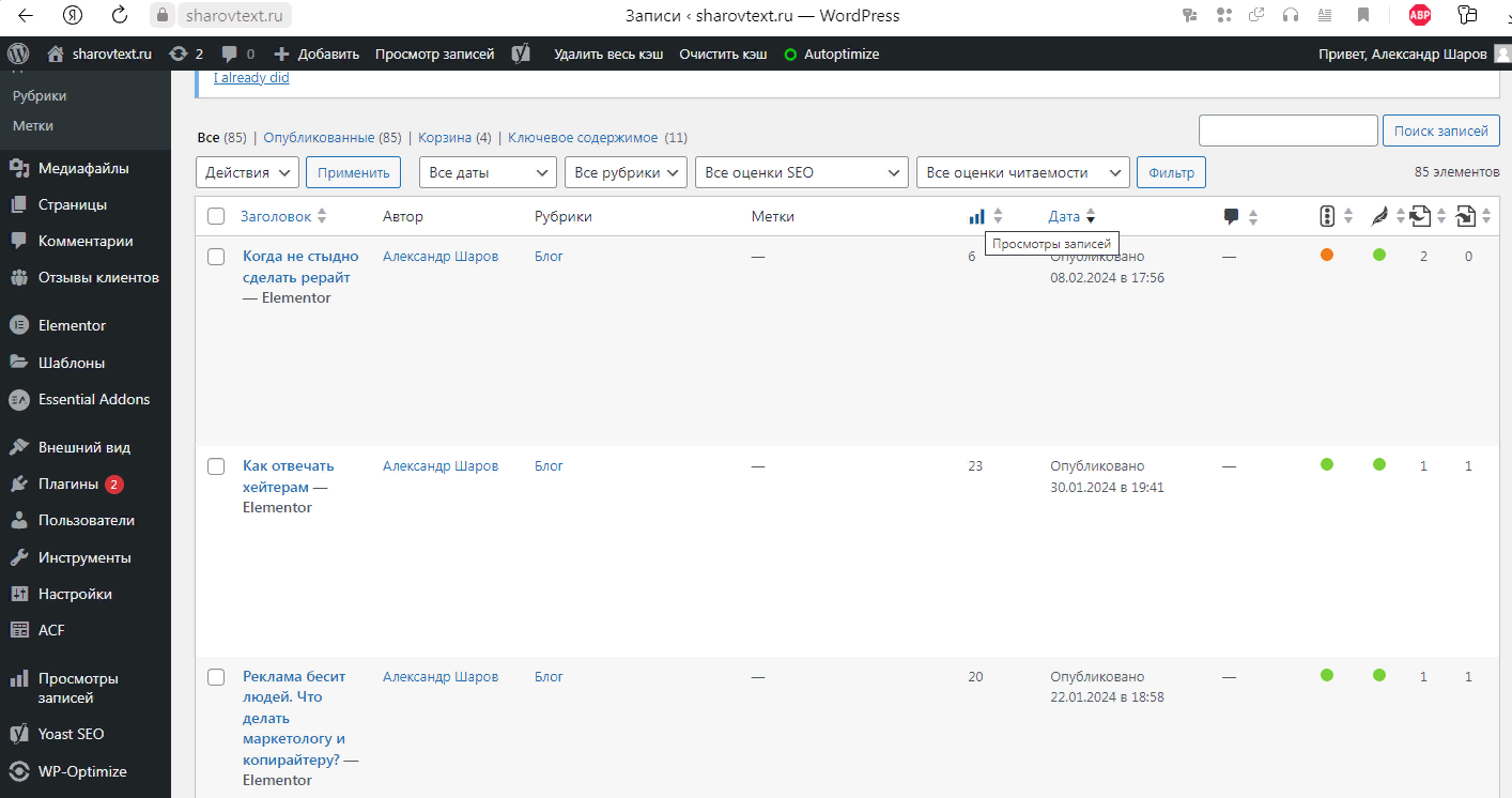 Тексты в блоге на сайте. Статистика просмотров