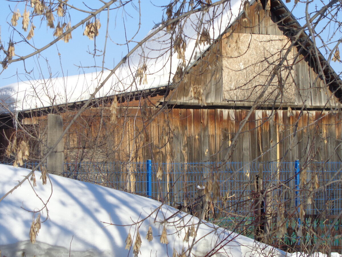 Дачи: наши родители выживали, мы там пашем, а наши дети отдыхают. А какого типа ваша дача?