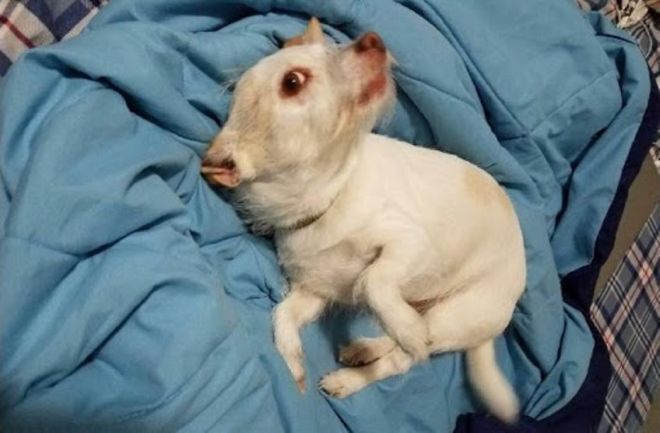 Удивительные оптические иллюзии, которые обманывают ваш мозг.