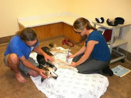 “Почему быть добрым – это круто”