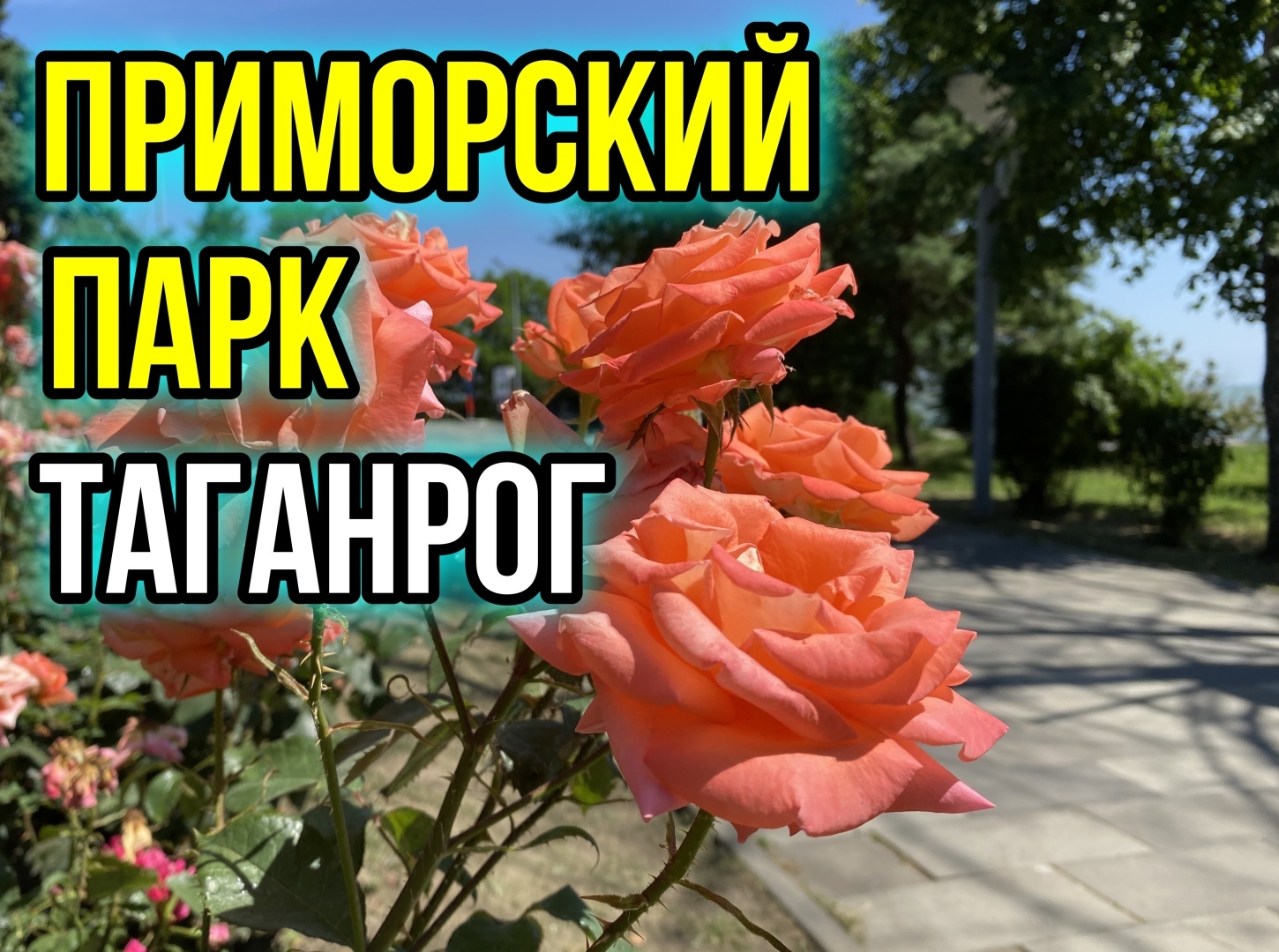 Приморский парк в Таганроге. Как он выглядел до шторма века.