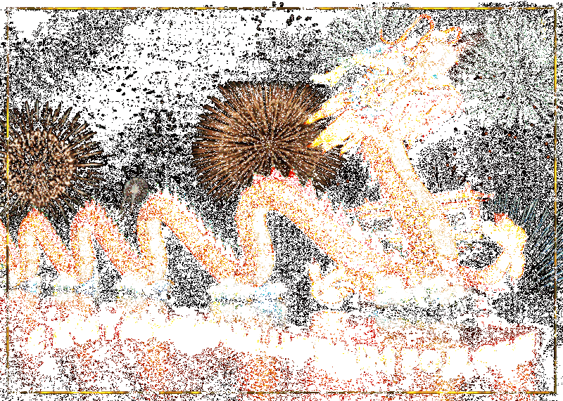 Китайский Новый год в 2024 году будет отмечаться 10 февраля