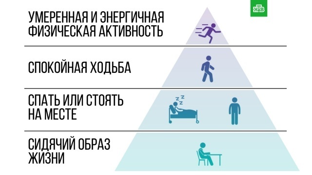 Спать, двигаться или читать: что полезнее?