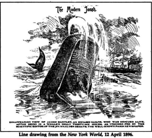 Удивительная история Джеймса Бартли, который провёл почти весь день в желудке кита и выжил