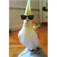 qMT4l9WTcyo.jpg