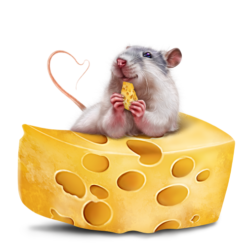 Самые необычные эксперименты с мышами, которые раскрывают человеческую сущность. №1