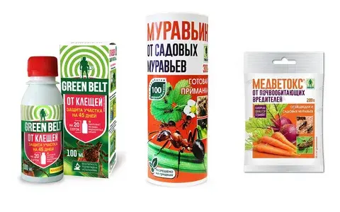 Секреты ухода за садовыми растениями