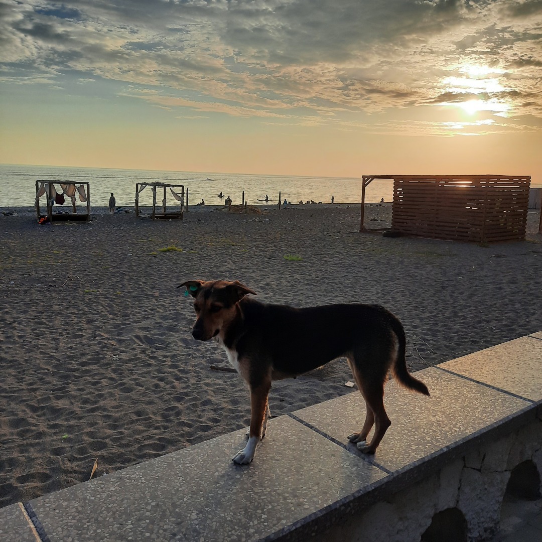 Абхазия: красота, в которую я не хочу возвращаться