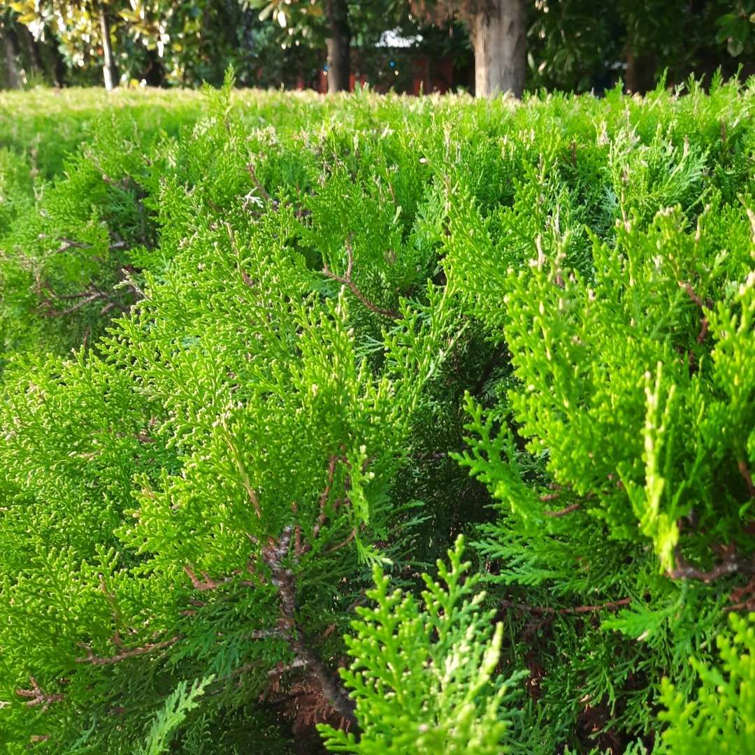 Абхазия: красота, в которую я не хочу возвращаться