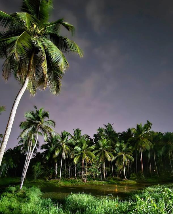 Обзор Samsung Galaxy S24 Ultra: Искусственный интеллект, который меняет реальные впечатления