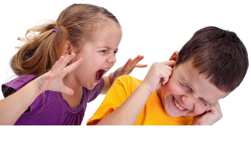 Как примирить постоянно конфликтующих брата и сестру? 
