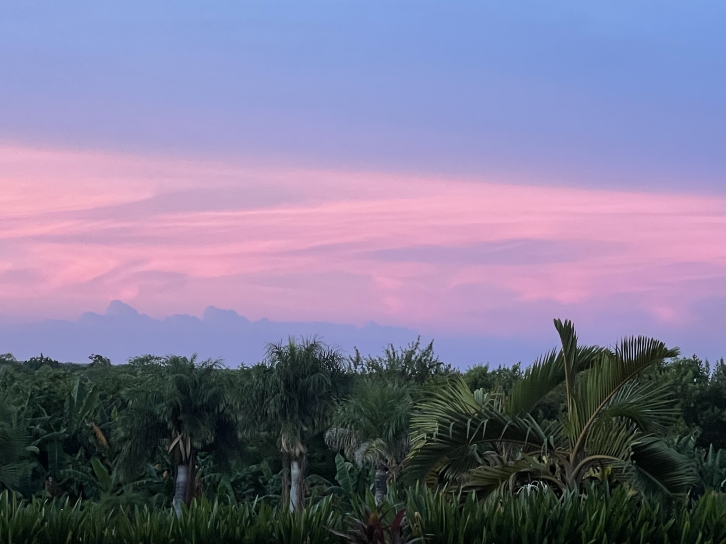 И снова путешествие. Мои личные наблюдения. Рассветы и закаты в Сочи: Притяжение и очарование природы