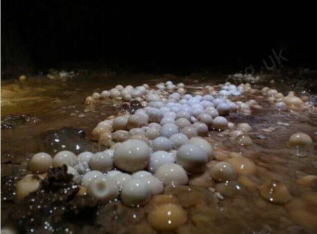 Чудо природы- пещерный жемчуг.