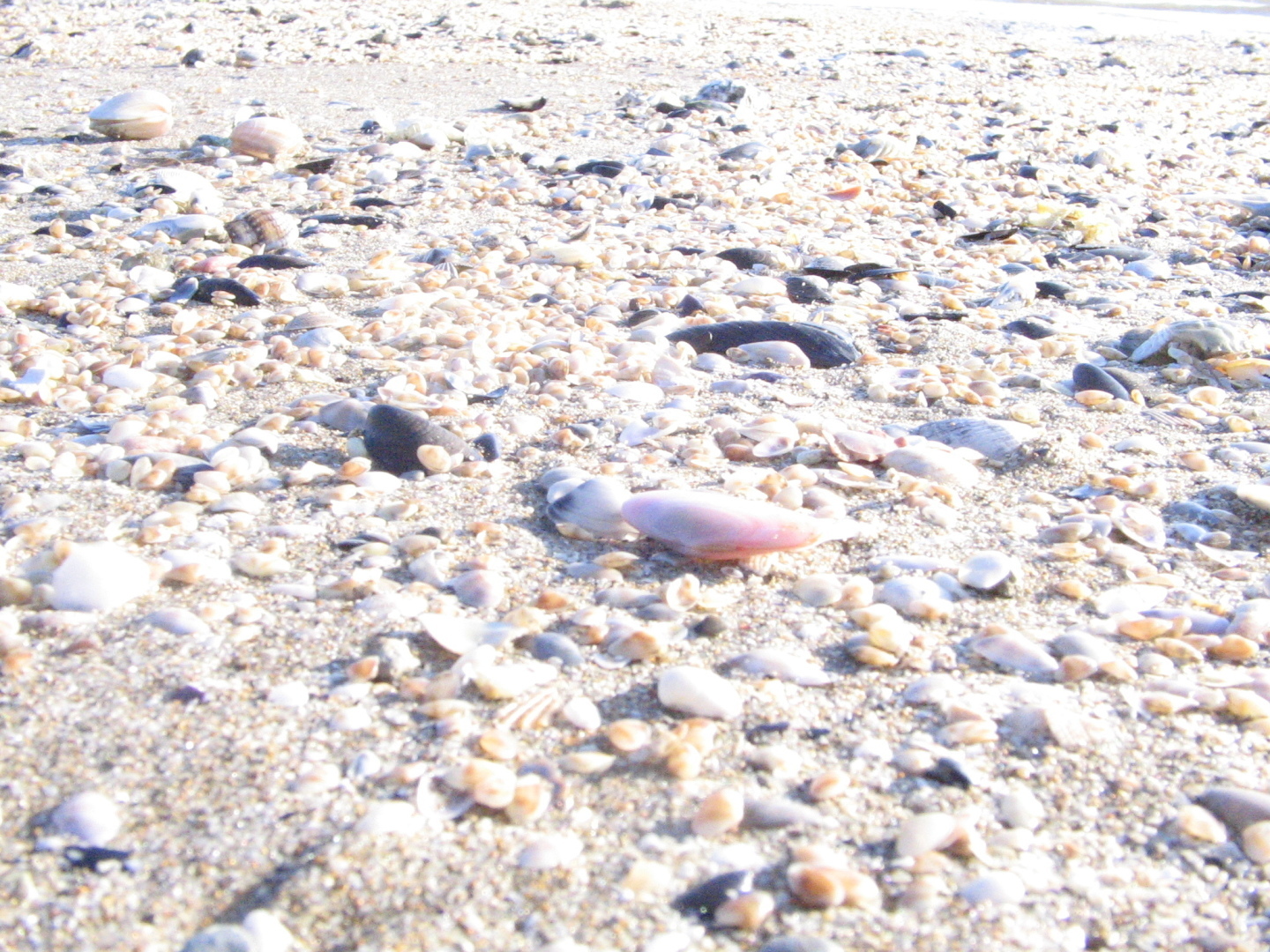 «Римини – самый «советский» город в Италии» -  Наши с женой «Итальянские каникулы» пришлись на самый переход из мая в июнь 2011 года.