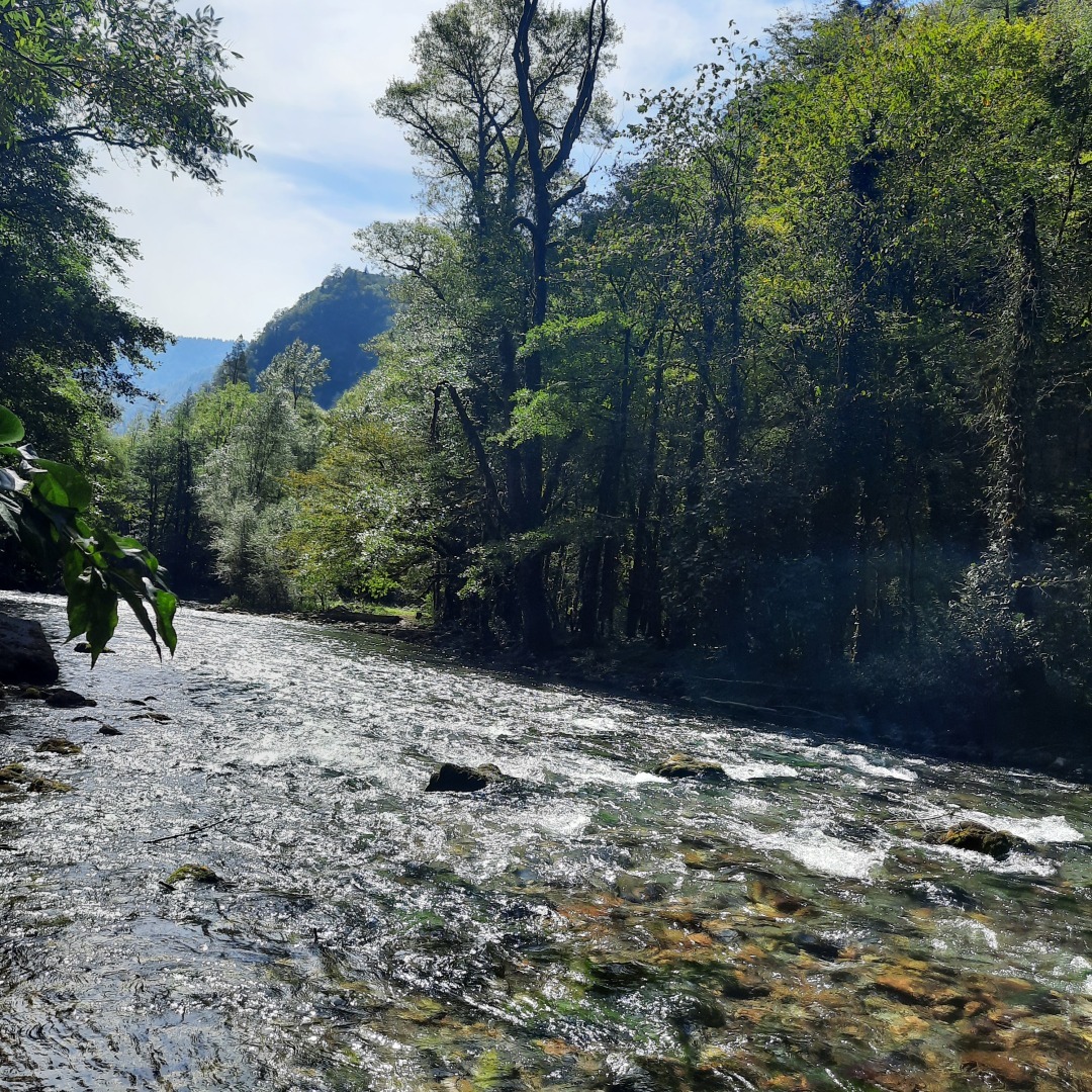 Плюсы и минусы частного тура в Абхазию на машине. История одного дня.